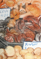 Funghi 